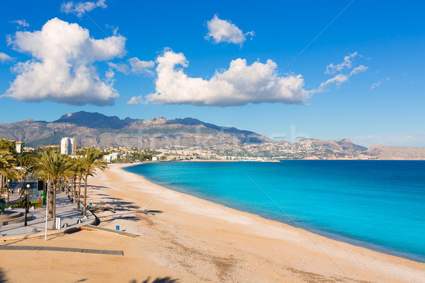 Altea Playa del Albir of white stones in Alicante Spain Stock photo © lunamarina