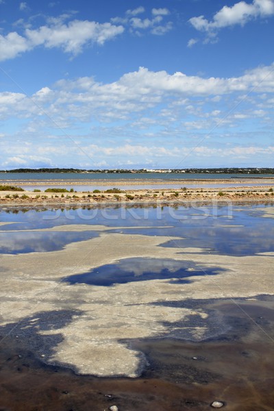 Ses Salines Formentera saltworks horizon balearic Stock photo © lunamarina