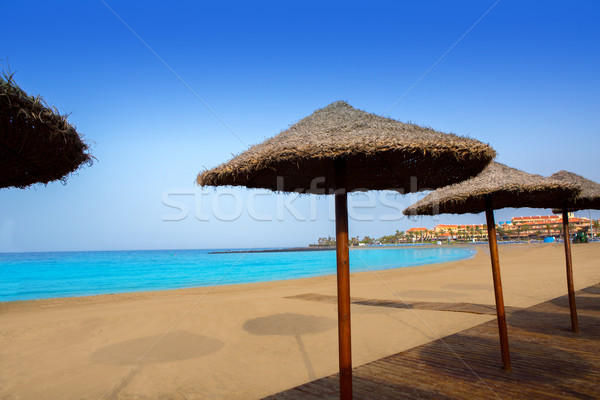Las vistas beach Arona in costa Adeje Tenerife Stock photo © lunamarina