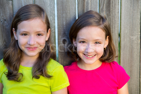 Stock photo: Happy twin sisters smiling on wood backyard fence