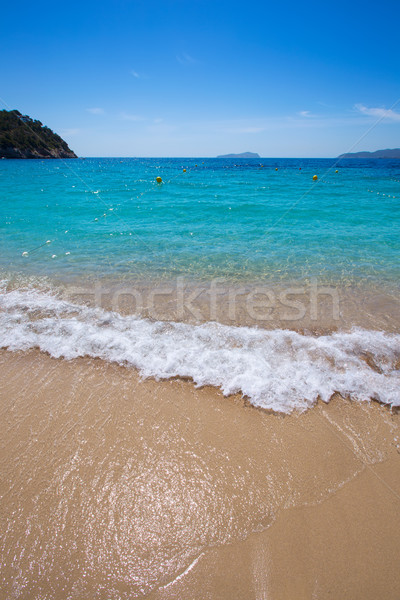 Ibiza cala San vicente beach san Juan at Balearic Islands  Stock photo © lunamarina