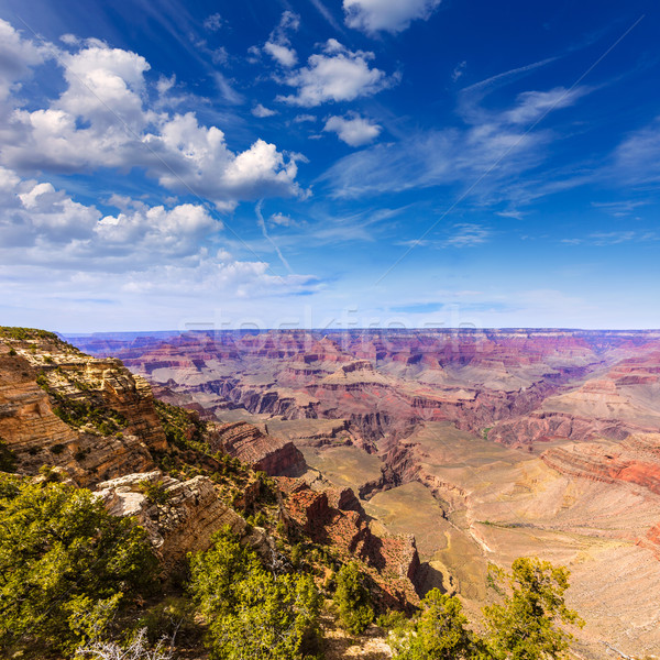 Arizona Grand Canyon Park Mutter Punkt Amphitheater Stock foto © lunamarina