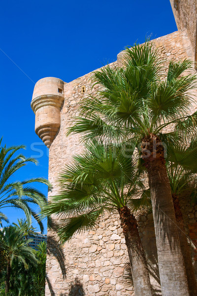 Elche Elx Alicante el Palmeral Palm trees Park and Altamira Pala Stock photo © lunamarina