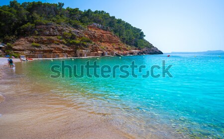 Formentera Cala Saona mediterranean best beaches Stock photo © lunamarina