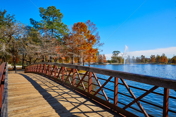 Houston parku jezioro jesienią Texas świetle Zdjęcia stock © lunamarina