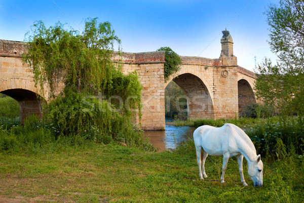 Sat pod white horse Spania la rutier Imagine de stoc © lunamarina