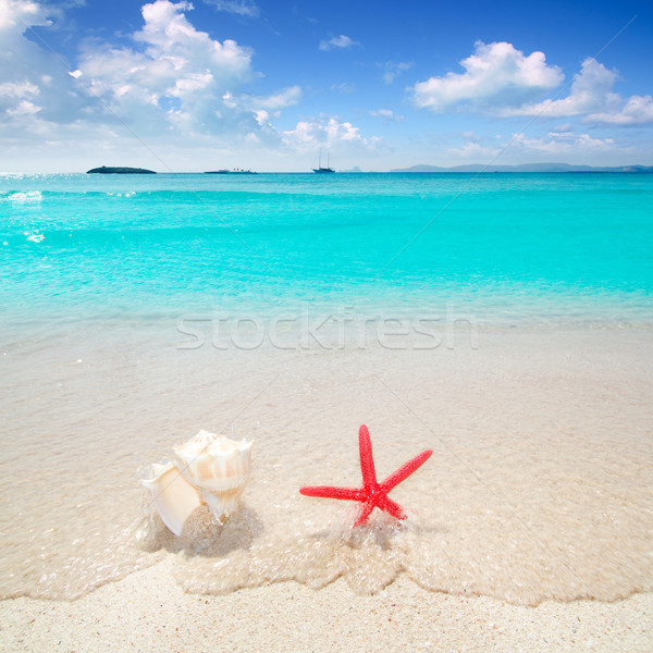 Stock photo: Starfish and seashell in tropical beach