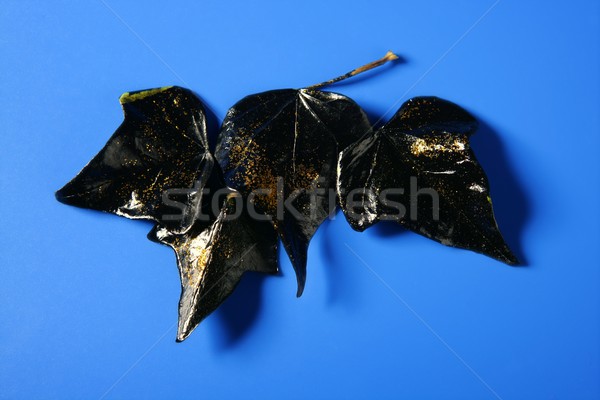 Black leaves with golden glitter macro Stock photo © lunamarina