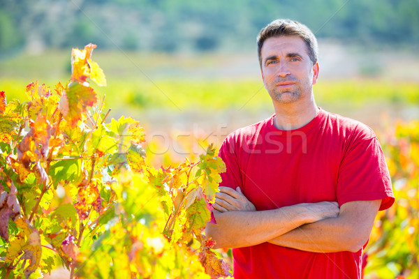 Harvester winemaker farmer proud of his vineyard Stock photo © lunamarina