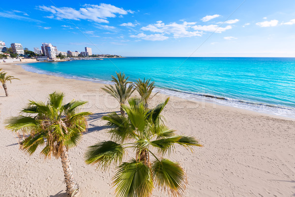 Alicante San Juan beach of La Albufereta with palms trees Stock photo © lunamarina