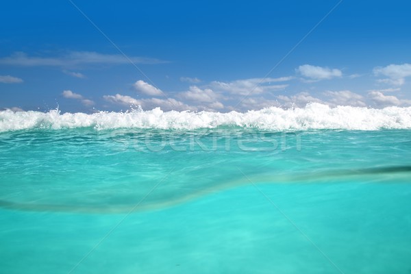 waterline caribbean sea underwater and blue sea Stock photo © lunamarina
