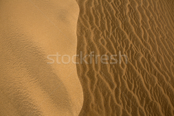 Stock photo: Desert dunes in Maspalomas Gran Canaria