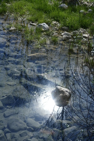 River shore shallow water sun surface  Stock photo © lunamarina