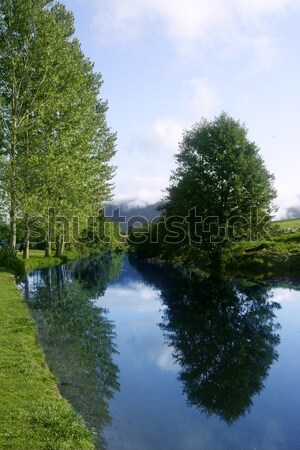 Blue river reflexion in a forest Stock photo © lunamarina