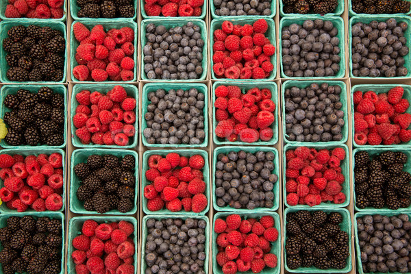 Jagody maliny jagody rząd zielone Zdjęcia stock © lunamarina