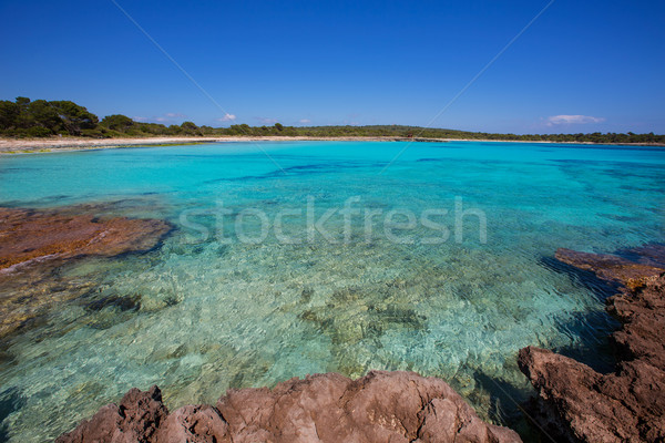 Menorca Son Saura beach in Ciutadella turquoise Balearic Stock photo © lunamarina