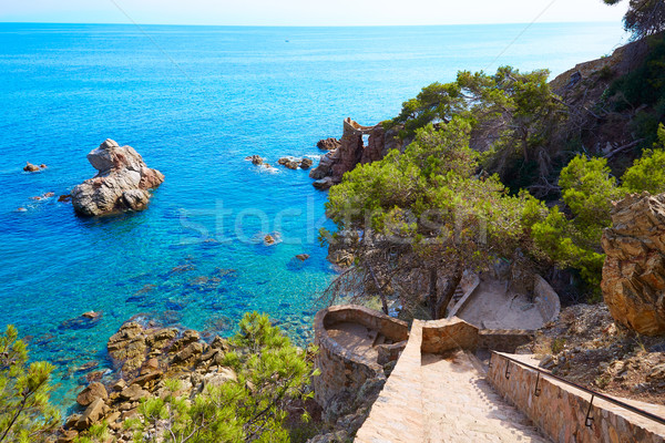 Cami de Ronda track Lloret de Mar of Costa Brava Stock photo © lunamarina