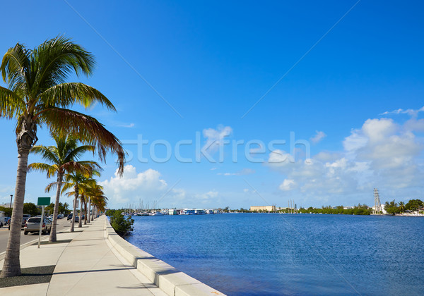 Key West Florida marina Garrison Bight Florida Stock photo © lunamarina
