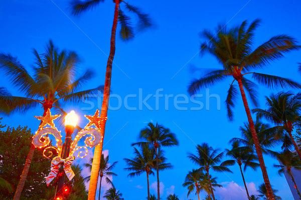 Miami strand zuiden zonsondergang palmbomen Florida Stockfoto © lunamarina