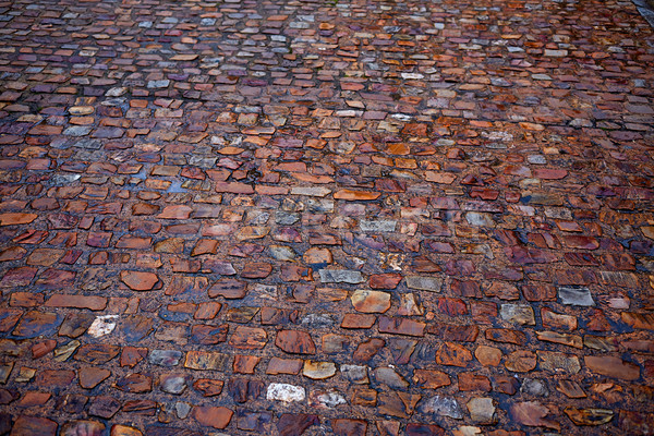 Kő macskakő padló textúra Spanyolország részlet Stock fotó © lunamarina