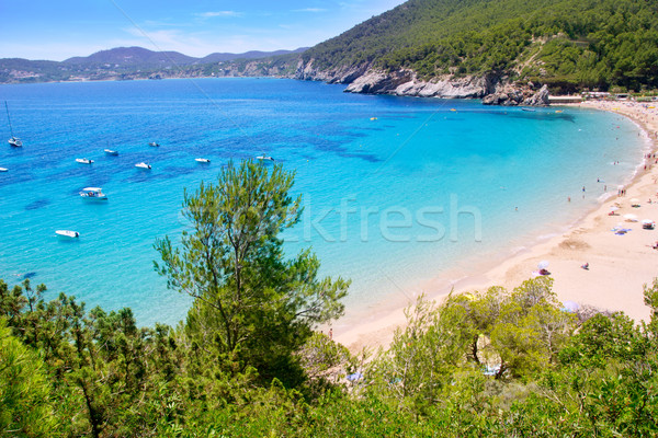 Ibiza Cala de Sant Vicent caleta de san vicente Stock photo © lunamarina