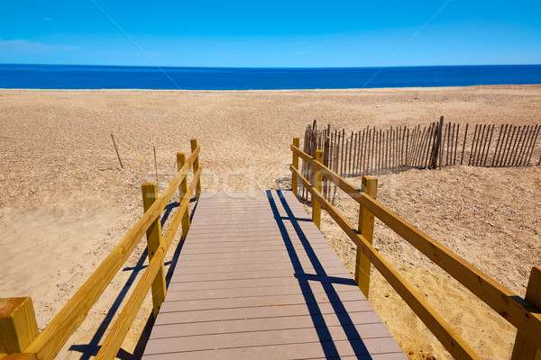 Cape cod sabbia collo spiaggia Massachusetts USA Foto d'archivio © lunamarina