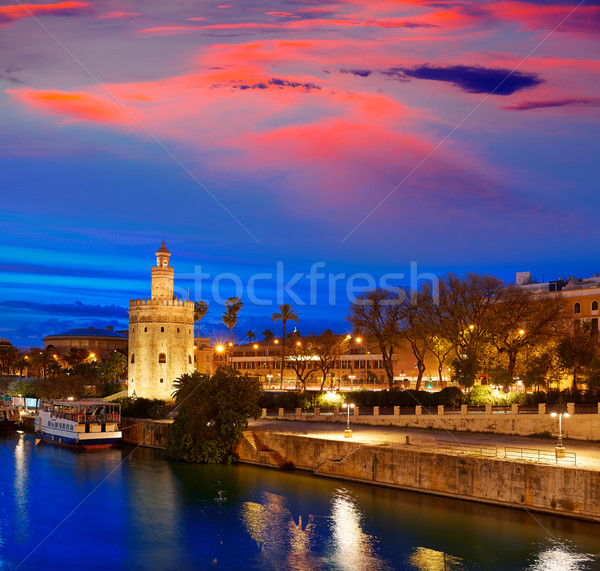 Seville sunset skyline torre del Oro in Sevilla Stock photo © lunamarina