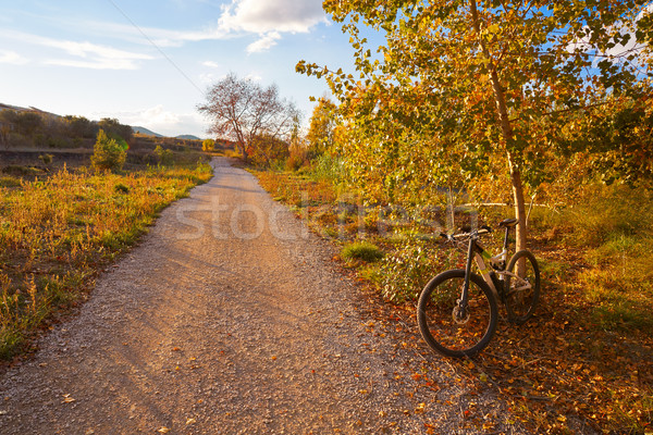 Stok fotoğraf: Bisiklet · Valencia · park · gün · batımı · su · ağaç