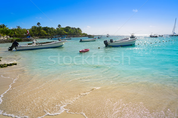 Stockfoto: Strand · caribbean · hemel · water · zomer · palm