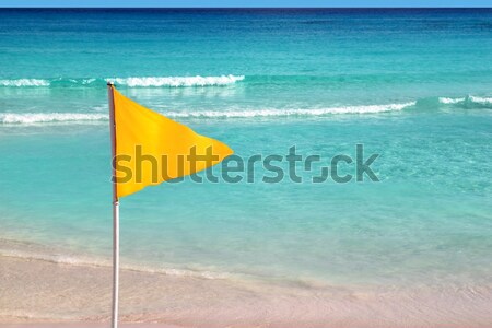 Green beach flag good beach weather Stock photo © lunamarina