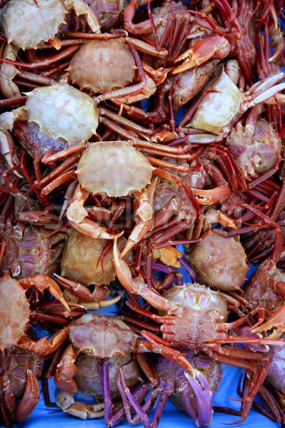 Crab from Mediterranean, texture pattern Stock photo © lunamarina