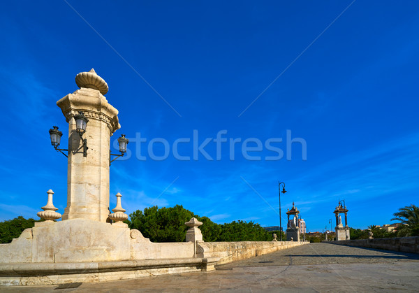Valencia Puente pont del Mar bridge Spain Stock photo © lunamarina