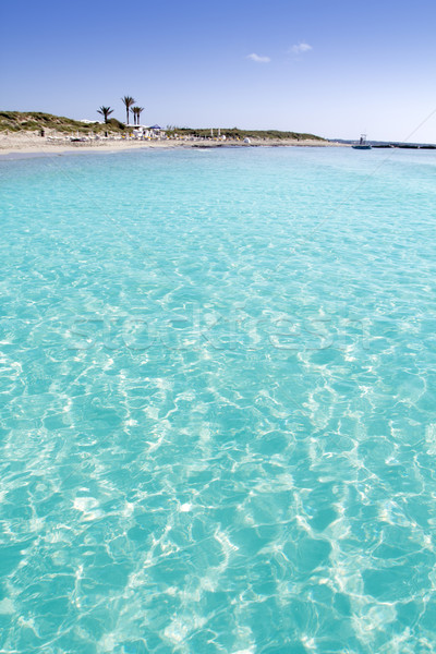 Illetas illetes turquoise beach shore Formentera Stock photo © lunamarina