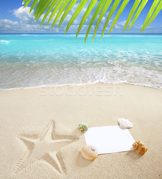 Insulele Caraibe plajă mare spatiu copie steaua de mare coji de Imagine de stoc © lunamarina