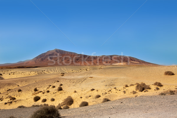 Ajaches mountain in Lanzarote Punta Papagayo Stock photo © lunamarina