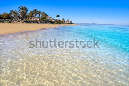 Adeje coast Las americas beach in south Tenerife Stock photo © lunamarina