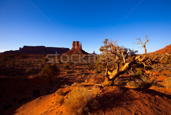 Monument Valley West Mitten Butte Utah Park Stock photo © lunamarina