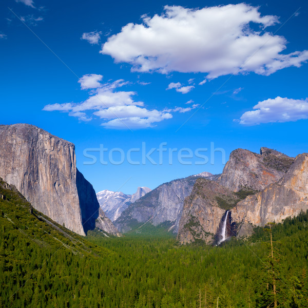 Yosemite el Capitan and Half Dome in California Stock photo © lunamarina