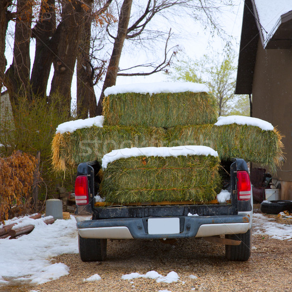 Snow straw bales truck in Nevada USA Stock photo © lunamarina