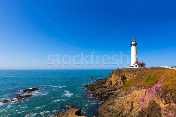 California Pigeon point Lighthouse in Cabrillo Hwy coastal hwy 1 Stock photo © lunamarina