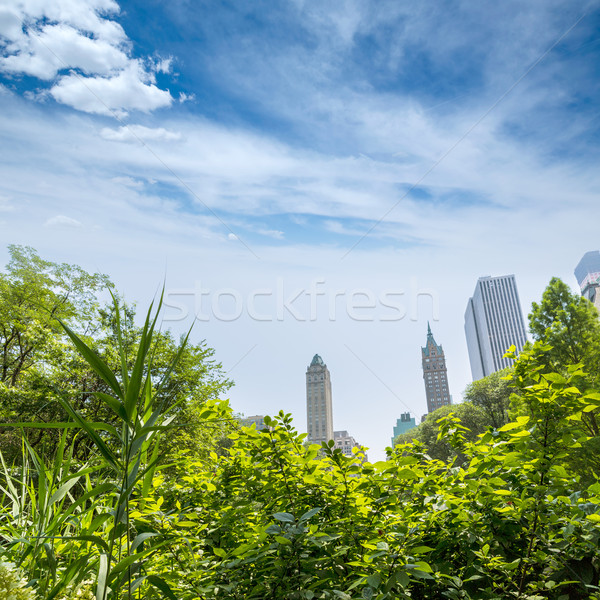 Central Park Manhattan New York cer primăvară oraş Imagine de stoc © lunamarina