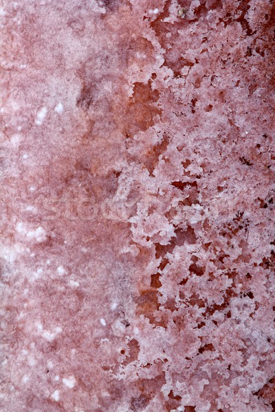 Ses Salines Formentera saltworks salt texture Stock photo © lunamarina