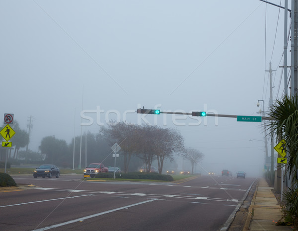 Neblig Dunst Morgen Florida Verkehr Autos Stock foto © lunamarina