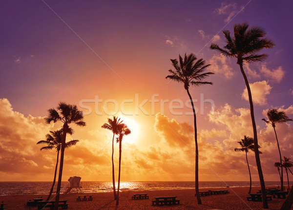 Fort lauderdale praia nascer do sol Flórida manhã EUA Foto stock © lunamarina