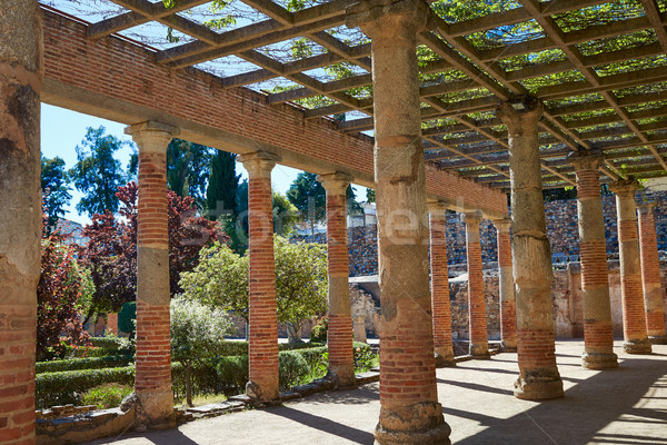 Római amfiteátrum Spanyolország LA épület város Stock fotó © lunamarina