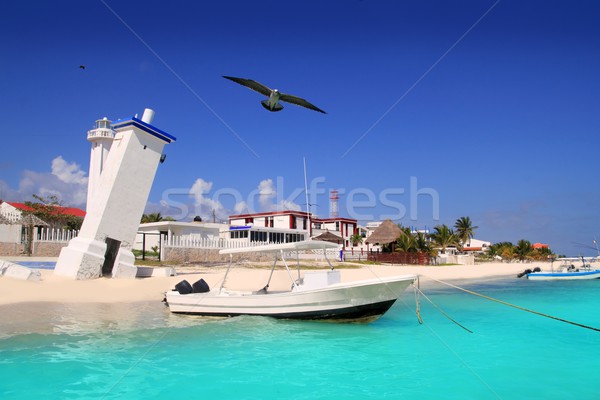 Stok fotoğraf: Plaj · caribbean · deniz · eski · deniz · feneri · su