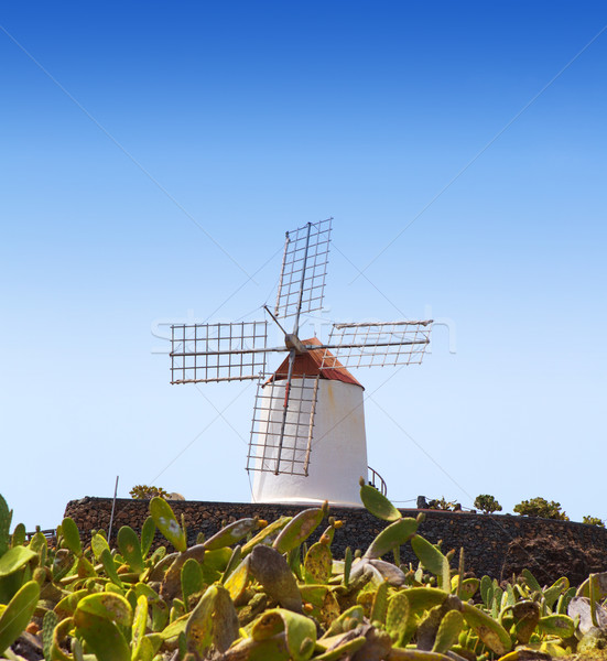 Stock photo: Lanzarote Guatiza cactus garden windmill