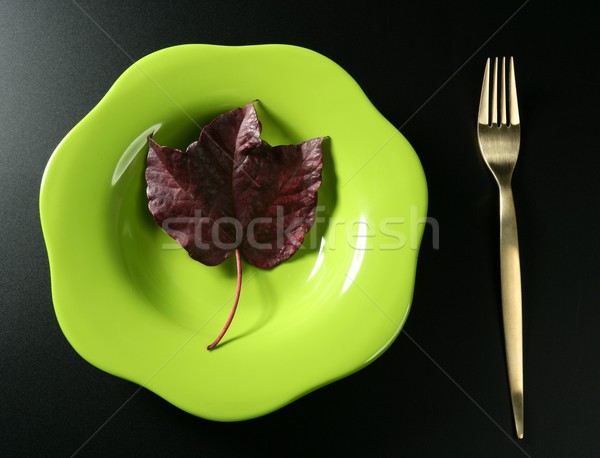 Metaphor, healthy diet low calories colorful vegetarian leaf meal Stock photo © lunamarina