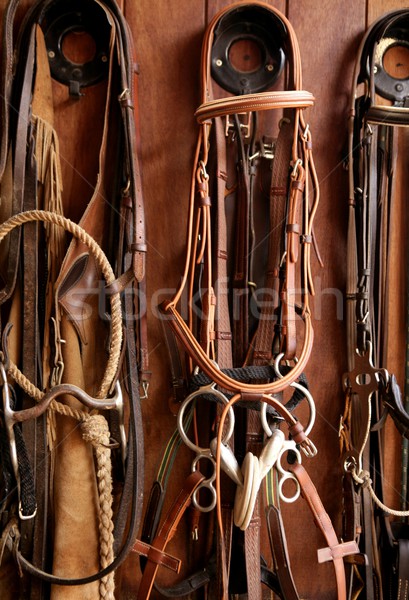 Horse riders complements, rigs, reins,  leather over wood Stock photo © lunamarina
