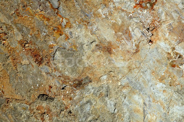 Textura calcário pedra superfície naturalismo abstrato Foto stock © lunamarina